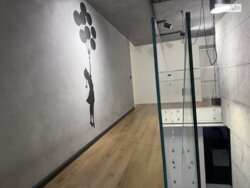 ��������� �������� ³�����, ³�������, ������ ���� 17