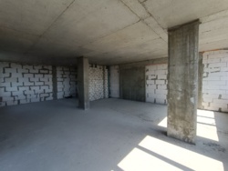 ������ �������� 76,81 �.��. � �� ������� ���� 12