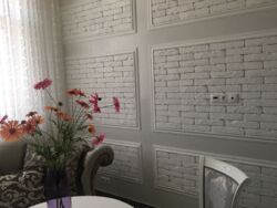 ������ �������� 48� � �������� �������� � ������� � ������� / ��������� -6 ���� 5