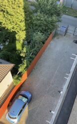 1 ����. �������� � 5������� ���� � ������ �� ��. ������������. ���� 3