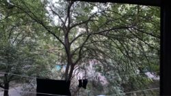 ������, �������� 1 ��������� 3/5 ��. ���-�������� ������ / ��������� ���� 5