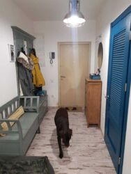 � ������� 2���������� �������� �� �������� 13/24 ����, ��������� �� ��� ������. ���� 8