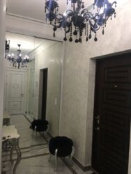 ������ �������� 48� � �������� �������� � ������� � ������� / ��������� -6 ���� 12