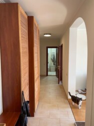 �-� ��������� �������� 87 ��� �� ��. ������� �������� / ���� �������� ���� 3