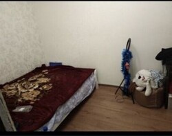 ��������� �������� �����������������, �����, �������, �����������, ���������� ���� 5