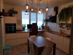 � ������� 2���������� �������� �� �������� 13/24 ����, ��������� �� ��� ������. ���� 3