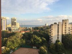 ������ 3 ��������� �������� �� ����� ������� ���� 17