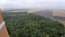 ��������� �������� �������������� ������, �����, �������, ������������ ���� 3