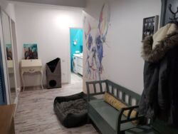 � ������� 2���������� �������� �� �������� 13/24 ����, ��������� �� ��� ������. ���� 7