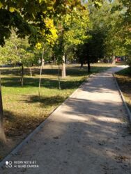 �������� 29��� � �� ������������. ���� 7