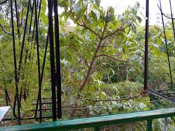 ��������� 2���������� �������� 4/5���� �� ������������� ���� 7