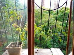 ��������� 2���������� �������� 4/5���� �� ������������� ���� 8