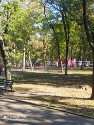 �������� 29��� � �� ������������. ���� 6