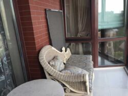 ������ 3 ��������� �������� �� ����� ������� ���� 16