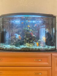 ��������� �������� 99 ���. 3 ������ � ��������� �� ������������������. ���� 7