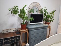 � ������� 2���������� �������� �� �������� 13/24 ����, ��������� �� ��� ������. ���� 10