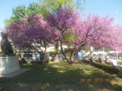 ��������� 2 ��������� �������� � 5 ������� ���� ����� ��. 10 ���. ���� 4