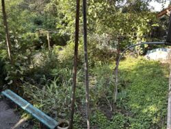 ��������� ������������� �������� �� ����������� ���� 7