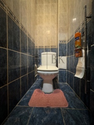 137 �² ��� ������ | 4 ������ | ��������, �������� | 2 �������� + ����� ���� 16