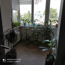 Продам 3 кім. квартиру в новобудові ЖК Ковалівський. фото 15 Продам 3 кім. квартиру в новобудові ЖК Ковалівський. фото 15