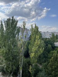 Продам шикарную квартиру( Попова), фото 19 Продам шикарную квартиру( Попова), фото 19