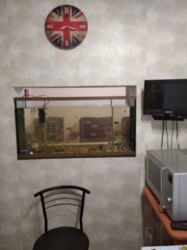 Продам 4 кім квартиру Попова(напротив Августа) фото 13 Продам 4 кім квартиру Попова(напротив Августа) фото 13