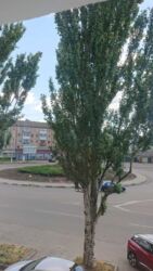 Продам 2 кім. квартиру з новим ремонтом, меблями, технікой фото 10 Продам 2 кім. квартиру з новим ремонтом, меблями, технікой фото 10