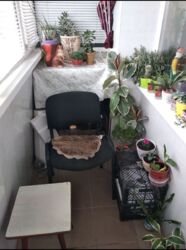 Продам 1 кім. квартиру р-н Н.Балашівки фото 7 Продам 1 кім. квартиру р-н Н.Балашівки фото 7