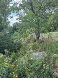 Продам 4 кім. у приватному секторі р-н Ж/д вокзалу фото 8 Продам 4 кім. у приватному секторі р-н Ж/д вокзалу фото 8