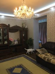 Продам 3 кім. квартиру в самому центрі міста фото 2 Продам 3 кім. квартиру в самому центрі міста фото 2