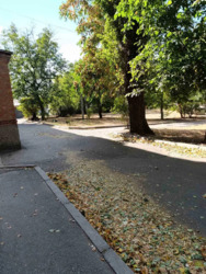 Продам двокімнатну квартиру в центрі міста на 3-му поверсі. фото 10 Продам двокімнатну квартиру в центрі міста на 3-му поверсі. фото 10