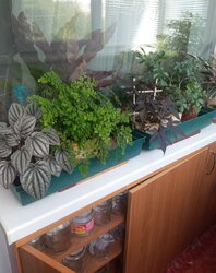 Продам 1 кім. квартиру р-н Жадова фото 13 Продам 1 кім. квартиру р-н Жадова фото 13