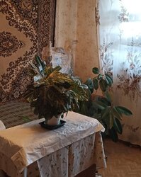 Продам 3 кім. квартиру р-н Жадова фото 5 Продам 3 кім. квартиру р-н Жадова фото 5