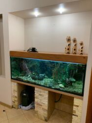 Продам 2 кім. квартиру в Центрі фото 11 Продам 2 кім. квартиру в Центрі фото 11