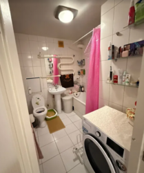 ��������� �������� ��������, ������������, �����������, ϳ������-�������� ���� 12