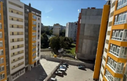 ��������� �������� �����������, ������������, ��������, ������� ������� ���� 1