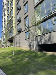 Продається квартира Хмельницька, Хмельницький, Південно-Західний, Тернопільська фото 16 Продається квартира Хмельницька, Хмельницький, Південно-Західний, Тернопільська фото 16