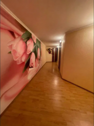 ��������� �������� �������� ����, ������������, �����������, �������� ���� 1