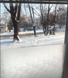 ��������� �������� ����� �����, ������������, �����������, ϳ������-�������� ���� 4