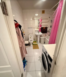 ��������� �������� ��������, ������������, �����������, ϳ������-�������� ���� 11