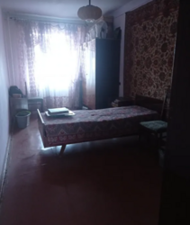 ��������� �������� ����� �����, ������������, �����������, ϳ������-�������� ���� 12