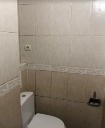 ��������� �������� �����������, ������������, ϳ������-��������, �������� ���� ���� 55