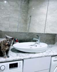 Продається квартира Хмельницька, Хмельницький, Дубово, провулок Франка Івана фото 12 Продається квартира Хмельницька, Хмельницький, Дубово, провулок Франка Івана фото 12