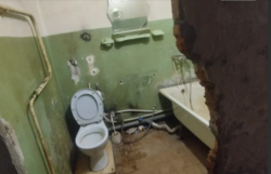 ��������� �������� �����������, ������������, ����� �����, ����������� ���� 8