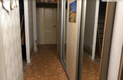 ��������� �������� �����������, ������������, ϳ������-��������, �������� ���� ���� 20