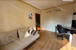 ��������� �������� �����������, ������������, ������ ������� ���� 13