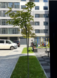 Продається квартира Хмельницька, Хмельницький, Виставка, Озерна фото 19 Продається квартира Хмельницька, Хмельницький, Виставка, Озерна фото 19