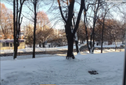 ��������� �������� ����� �����, ������������, �����������, ϳ������-�������� ���� 11