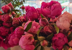 Продається квартира Хмельницька, Хмельницький, Південно-Західний, Львіське шосе фото 8 Продається квартира Хмельницька, Хмельницький, Південно-Західний, Львіське шосе фото 8