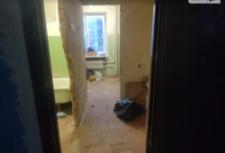 ��������� �������� �����������, ������������, ����� �����, ����������� ���� 6